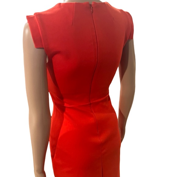 Stunning Babaton dress - Picture 6 of 9